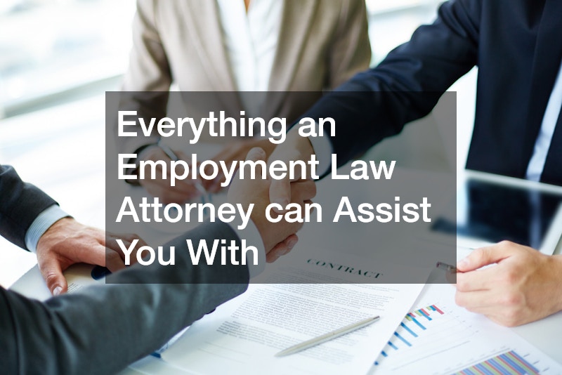 Everything an Employment Law Attorney can Assist You With